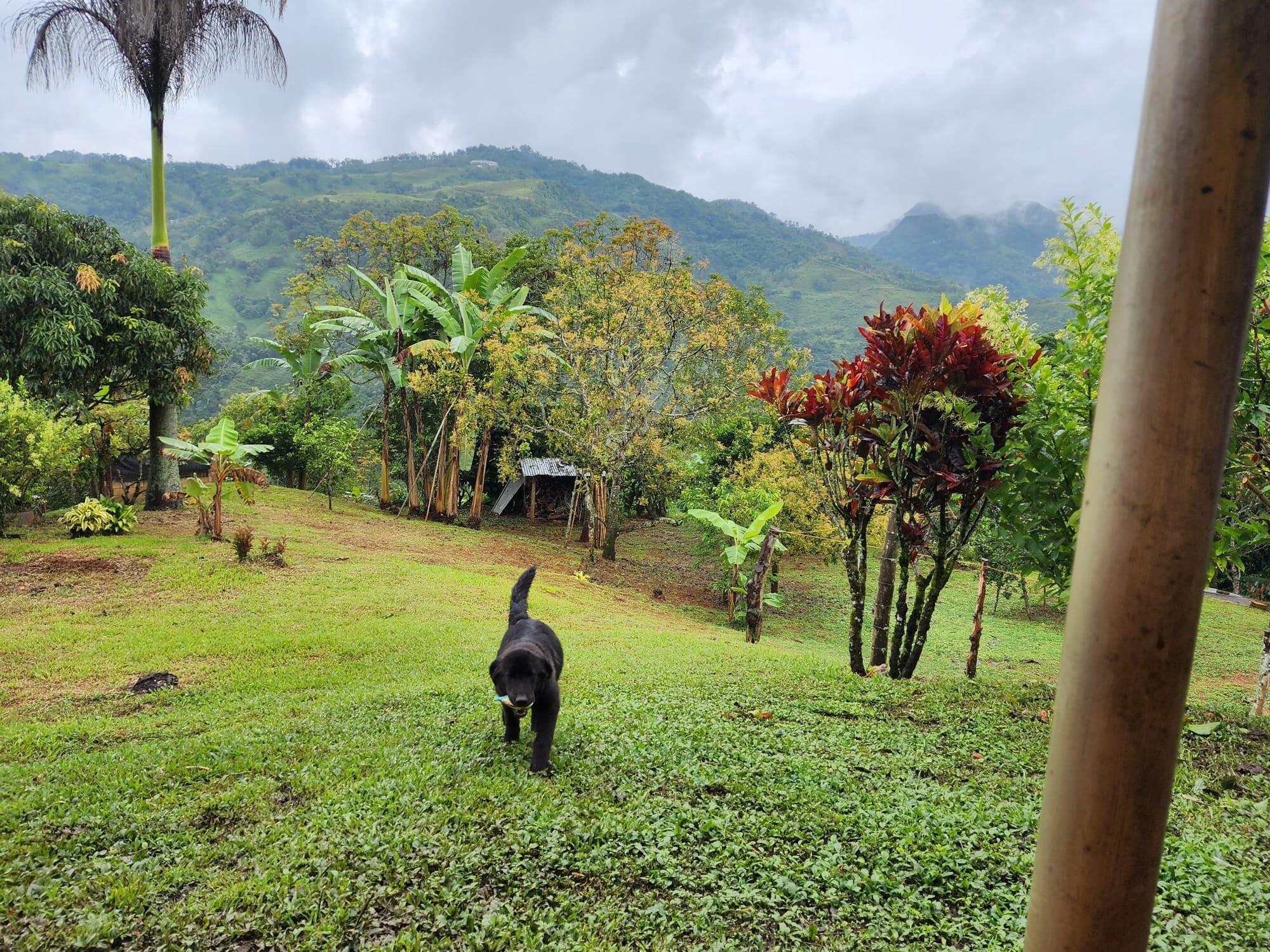 VEREDA EL LIMONAL - Residential