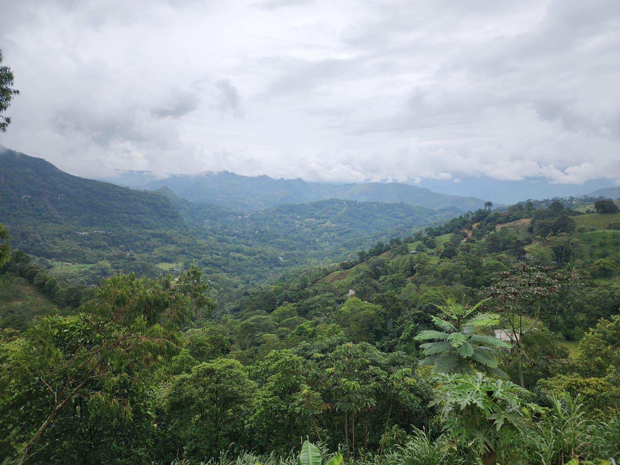 VEREDA EL LIMONAL - Residential