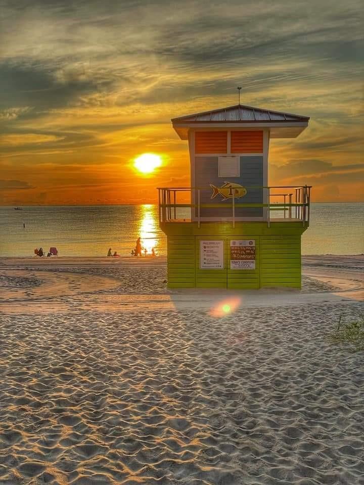 OCEAN MONARCH - Residential