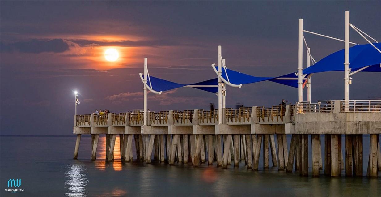 OCEAN MONARCH - Residential