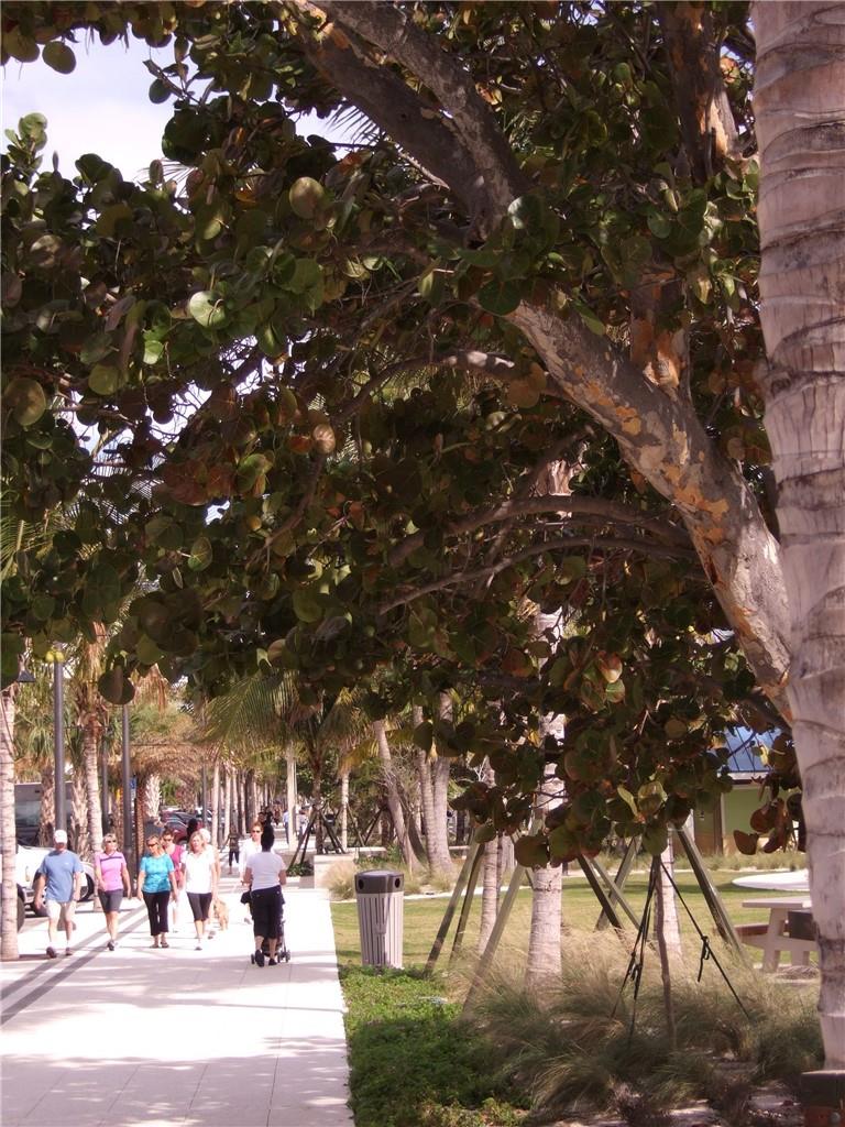 OCEAN MONARCH - Residential