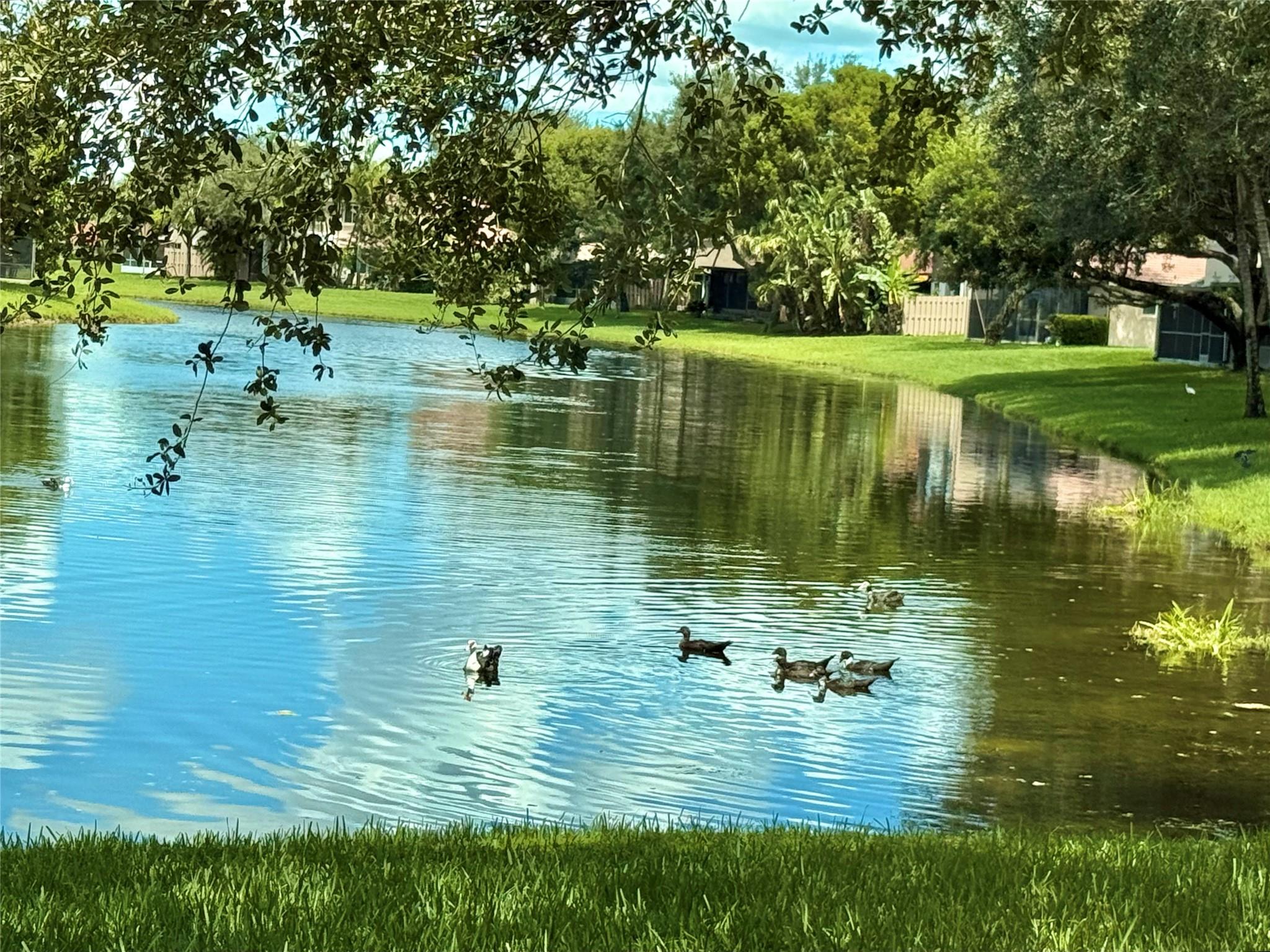 The Village At Harmony La - Residential Lease