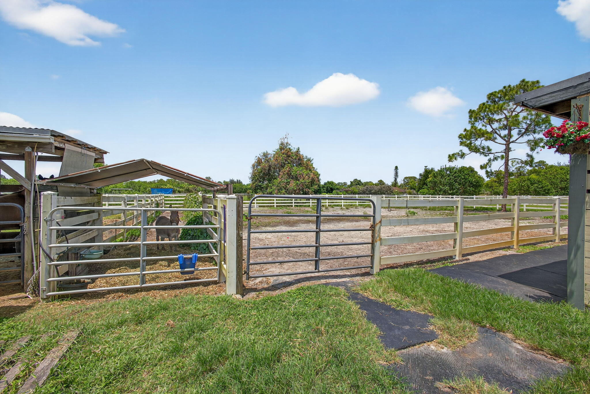 LOXAHATCHEE GROVES - Residential