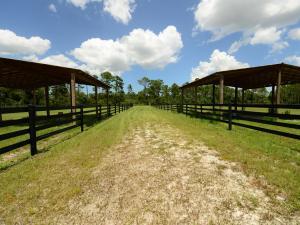 RANCH COLONY- Ranch Estat - Residential