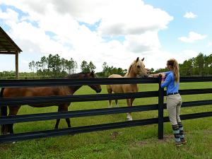RANCH COLONY- Ranch Estat - Residential
