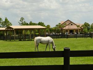 RANCH COLONY- Ranch Estat - Residential