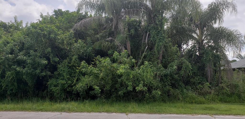 PORT ST LUCIE SECTION 30 - Land