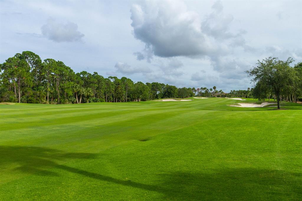 OLD PALM - Residential