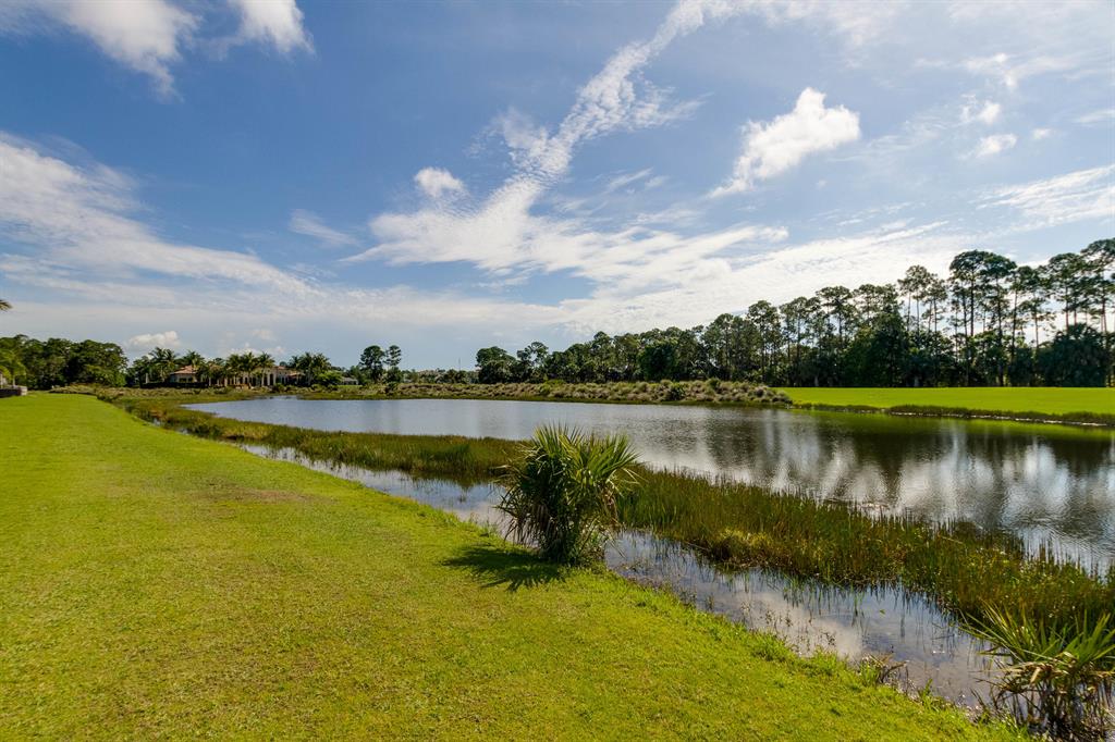OLD PALM - Residential