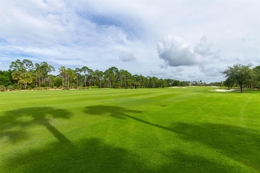 OLD PALM - Residential