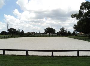 Palm Beach Point - Land