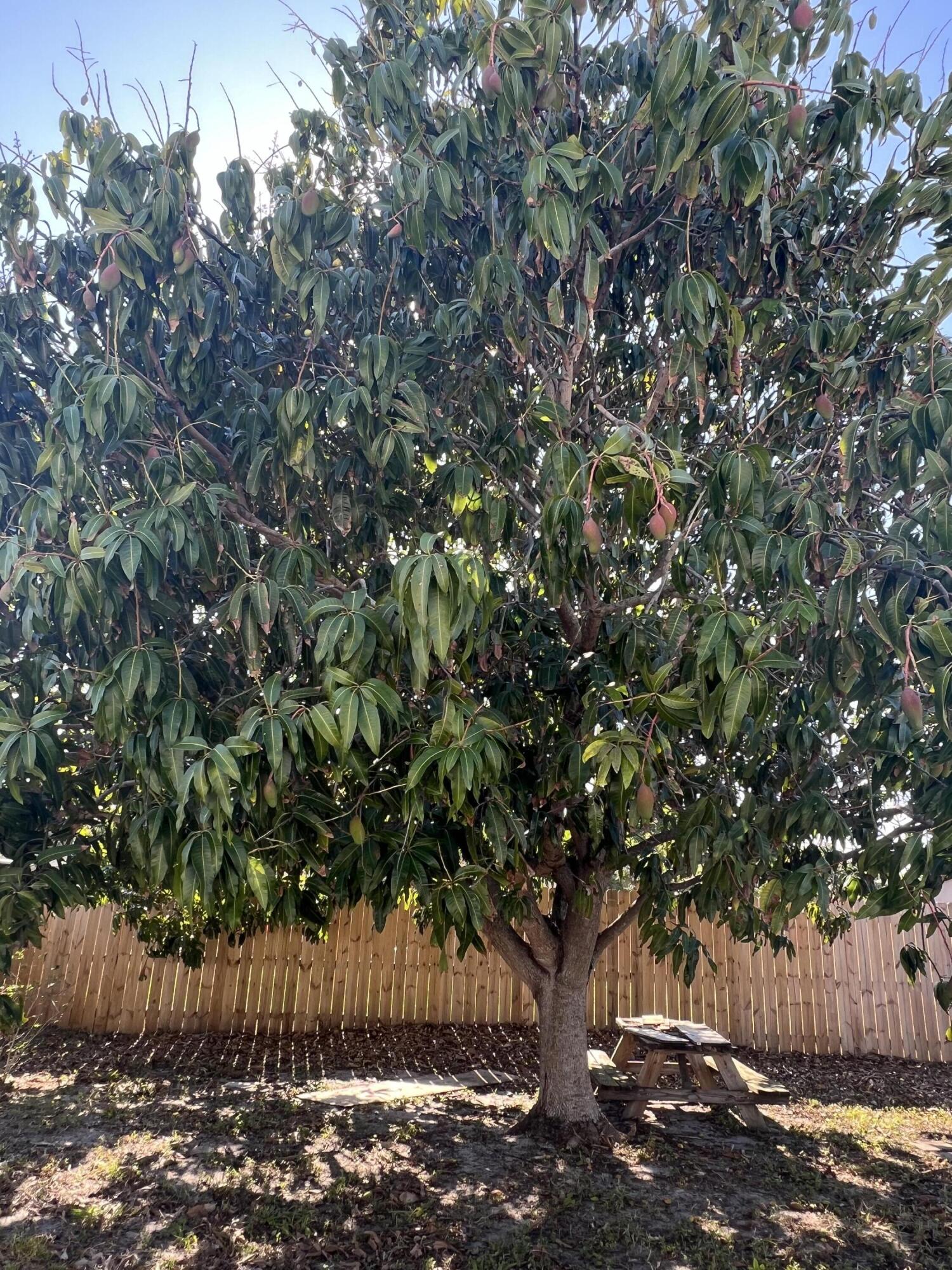 POMPANO BEACH HIGHLANDS 3RD SEC - Residential