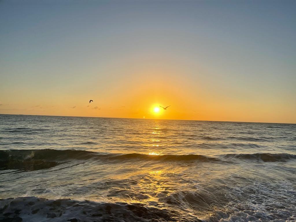 THE AVENTURA BEACH CLUB - Residential