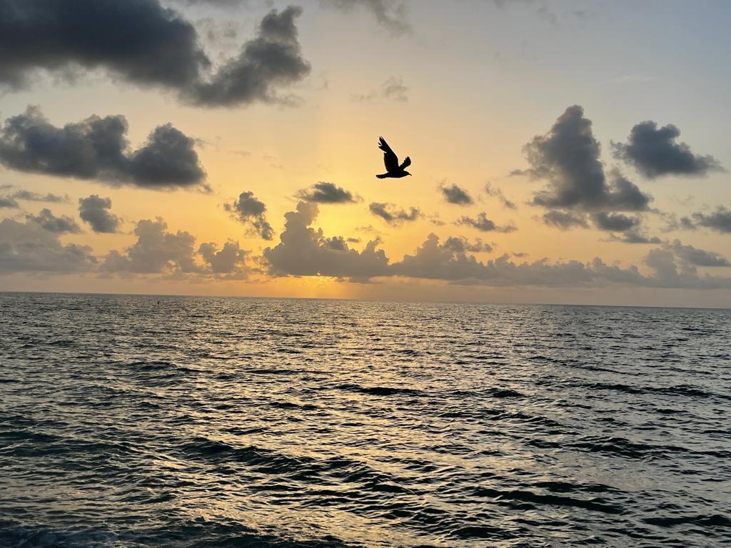 THE AVENTURA BEACH CLUB - Residential