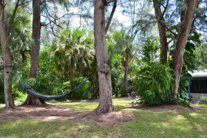 Lake Clarke Terrace - Residential