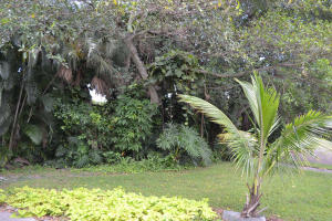 Lake Clarke Terrace - Residential