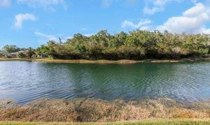 Preserve at Cypress Lake - Residential