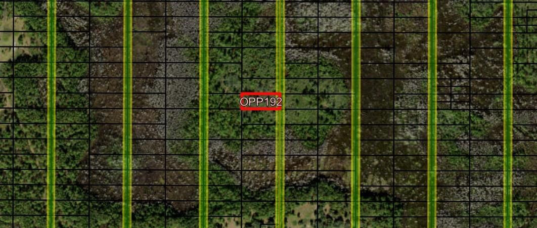 Opp192 Orlando Pines - Land