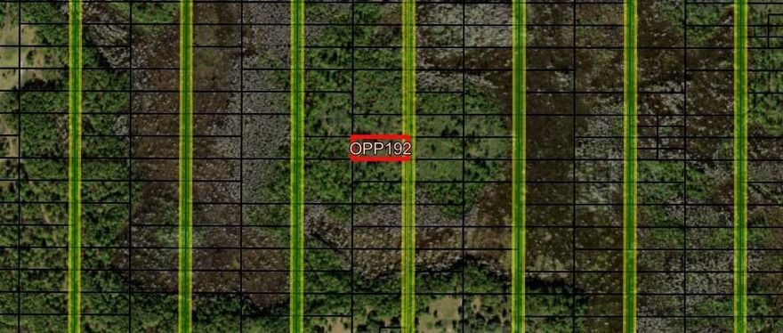 CAMP HUNT RIDE off Old Grade Road in Polk City, FL. This private one acre lot is a blank canvas for your recreational and/or agricultural ventures. Take advantage of our owner financing with only $1,500 down and no closing costs. Superb hutingOwner financing available