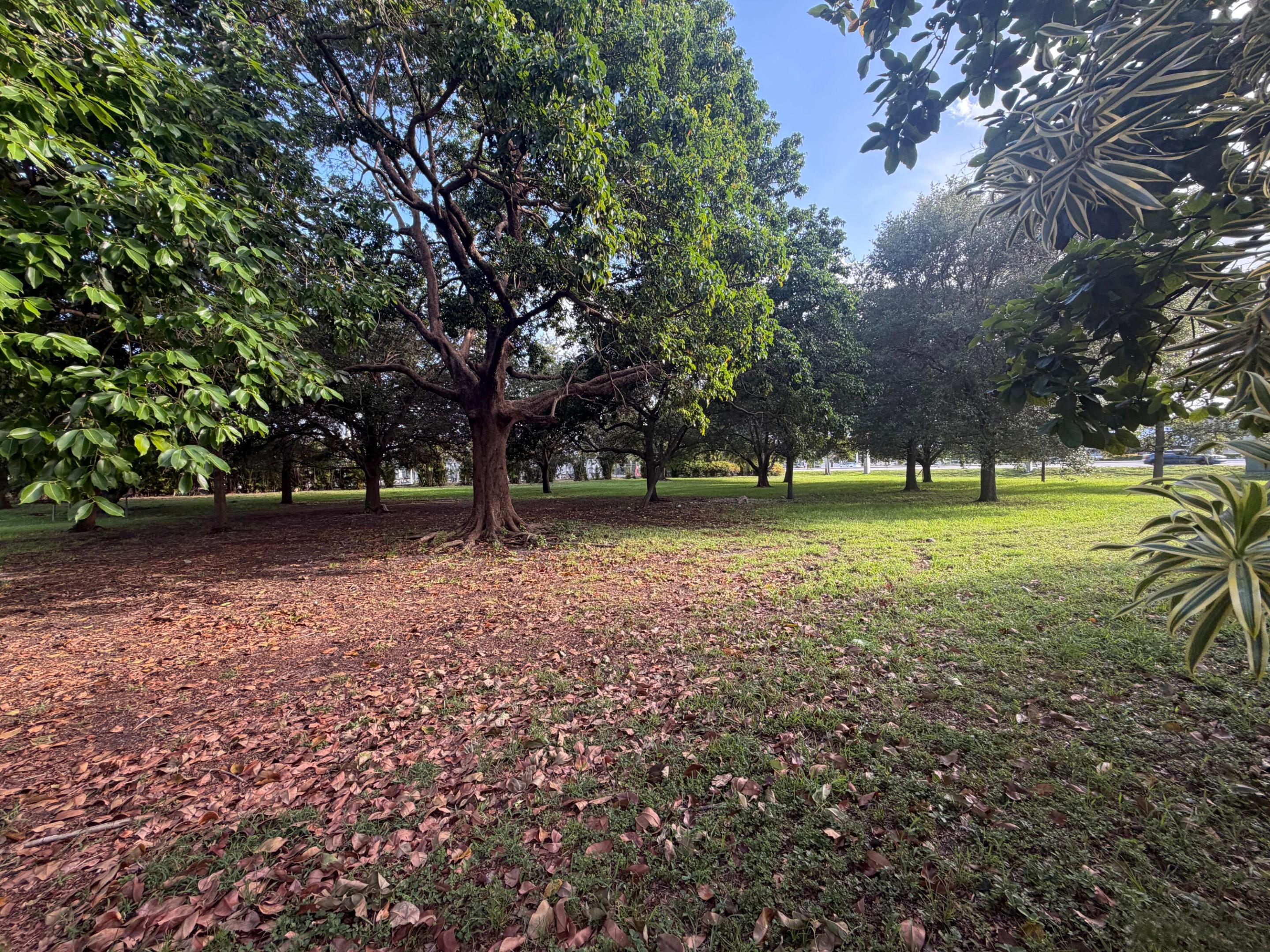 CITY OF LAUDERHILL SEC 1 - Residential