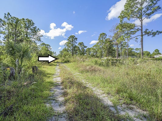 12810 88TH STREET, FELLSMERE, FL 32948 - Image ae2f0f48ee1cba3a561db24fb39c90c2/3100333057