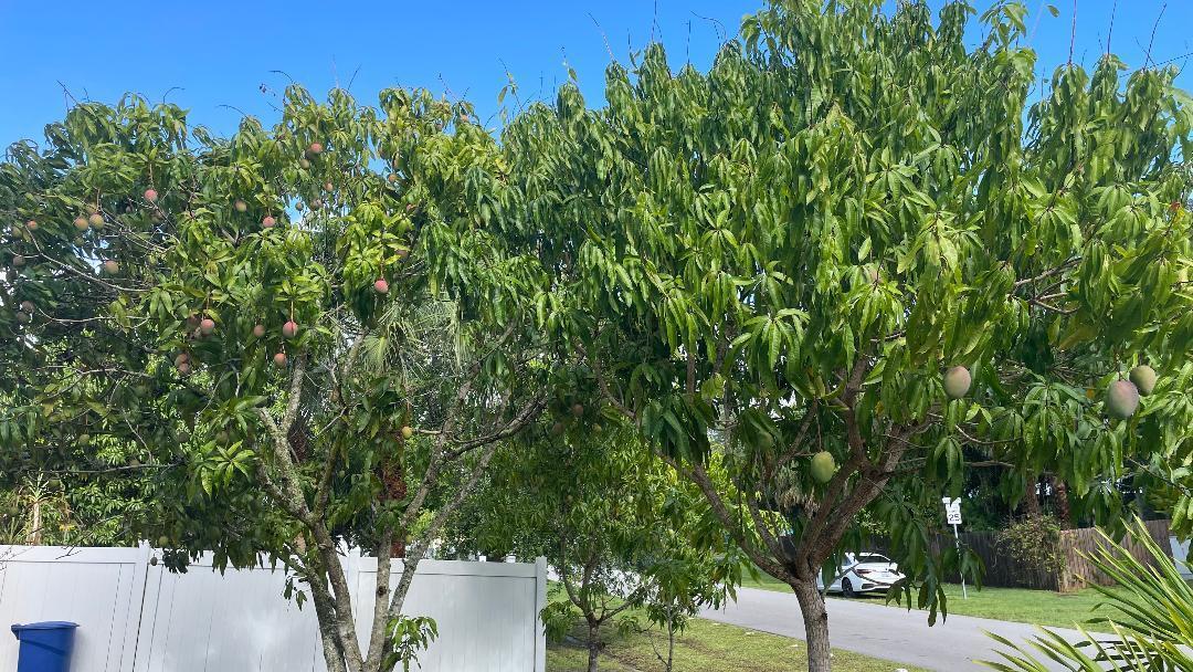 PORT ST LUCIE SECTION 12 - Residential