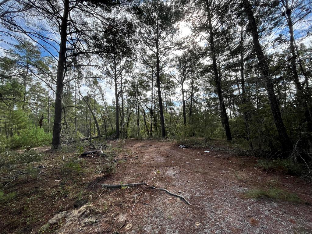 IF you are looking to get away from it all in a nice quiet area but still close to shopping, schools, restaurants and much more, or if you just want to buy and hold for the future there are no limits on time to build. Mobile homes are allowed, and owner financing is available