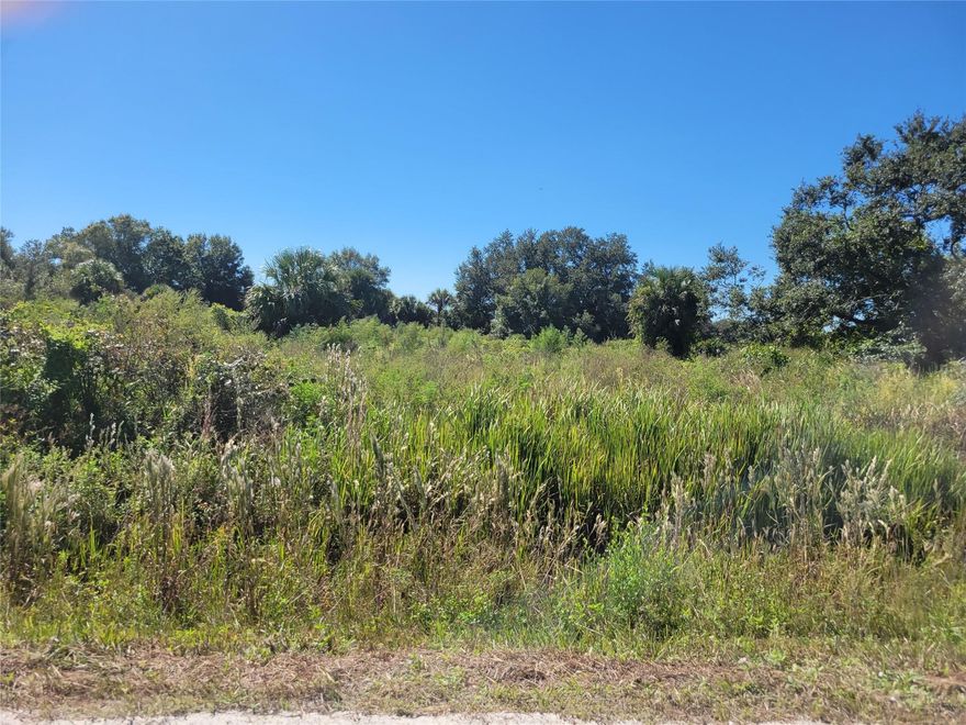 1.25 acres in NW Okeechobee County. Country living at it's finest. Blank canvas. Create your perfect space. Residential/agricultural. Quiet peaceful area. 25 minutes to Okeechobee City. Fast growing area.
Buyers responsibility to confirm with county for all permitting and improvements