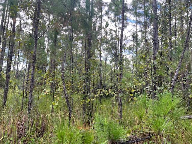 Leisure Lakes - Land