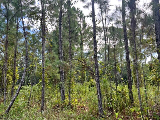 Leisure Lakes - Land