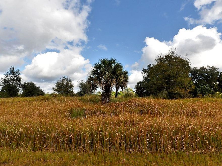 Opportunity in Sarasota County, FL!!! Don’t miss your chance to own this gracious parcel in the heart of North Port, a growing community known for its peaceful surroundings and strong potential for future development. This lot offers the ideal canvas to build your dream home, create a serene getaway, or secure an investment in one of Florida’s most up-and-coming areas. This is a strategic opportunity to own a piece of Florida’s natural beauty. Whether you’re ready to break ground now or invest in your future, this lot is awaiting you.