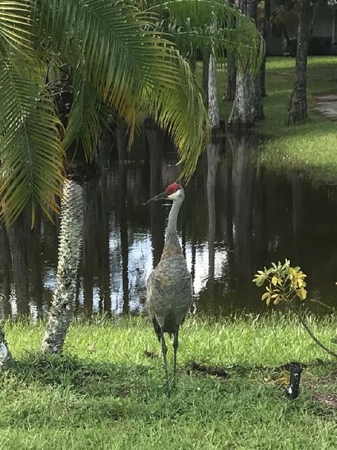 A home in Jupiter