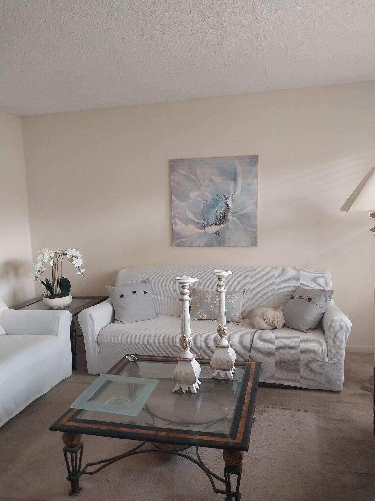 361 Windsor P 361