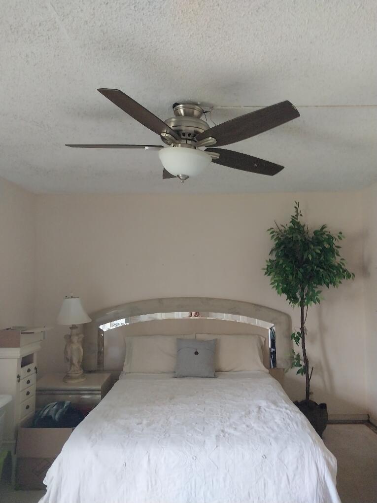 361 Windsor P 361