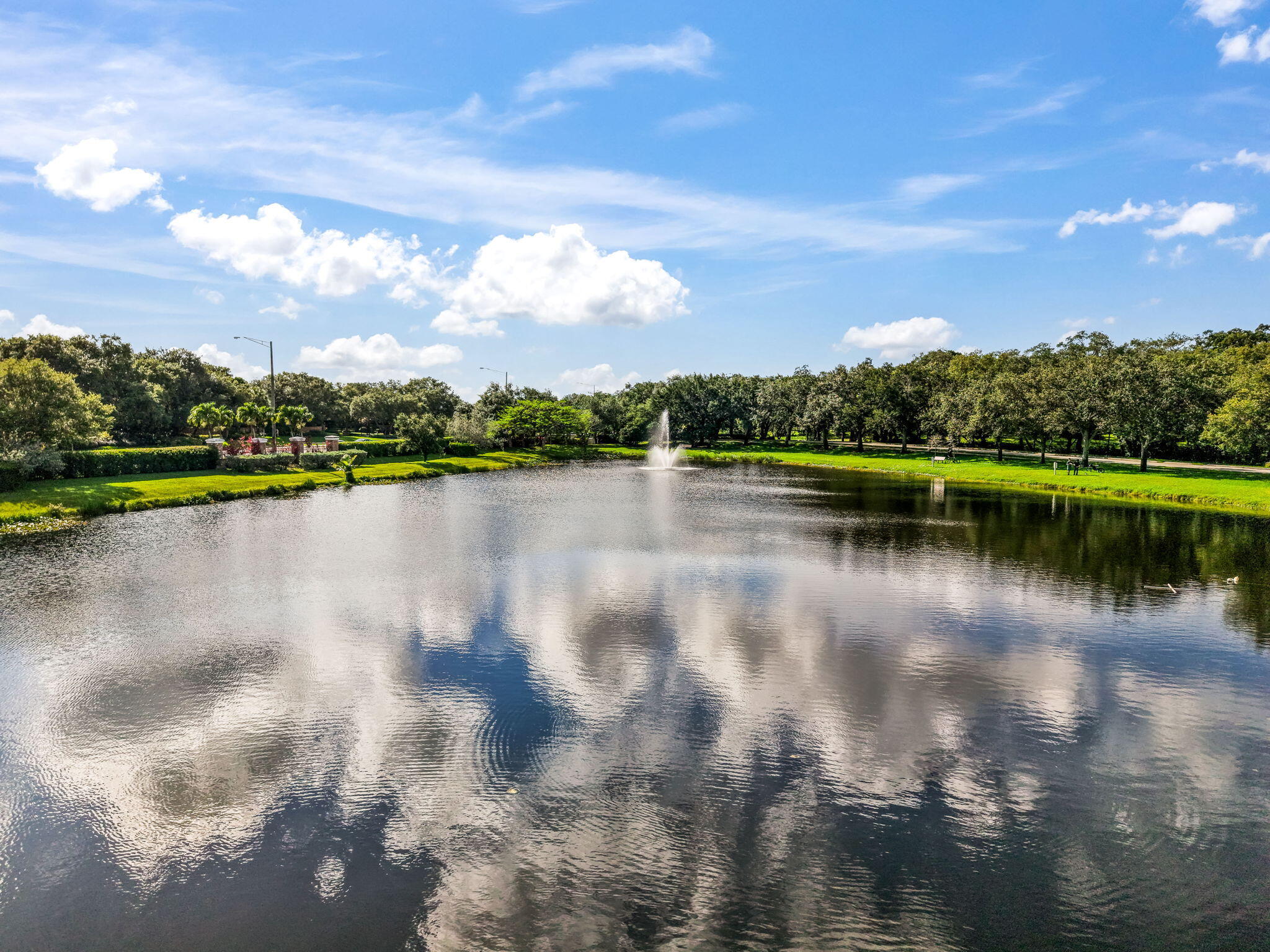 FOREST RIDGE SINGLE FAMILY VII - Residential
