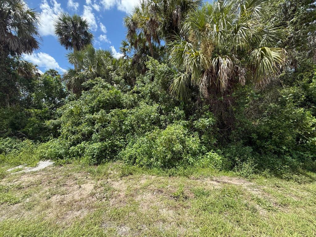 PORT CHARLOTTE SEC 30 - Land