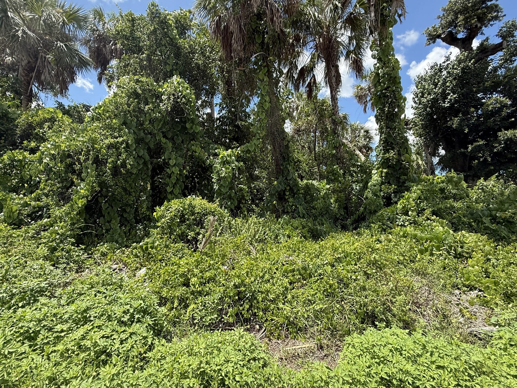 PORT CHARLOTTE SEC 30 - Land