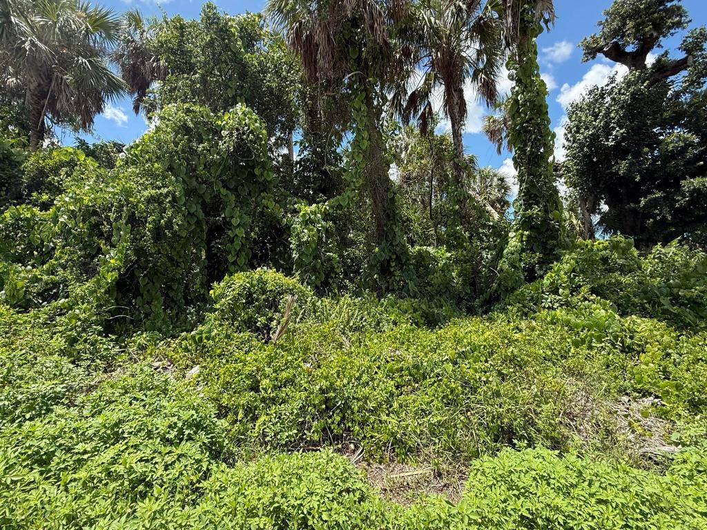 PORT CHARLOTTE SEC 30 - Land