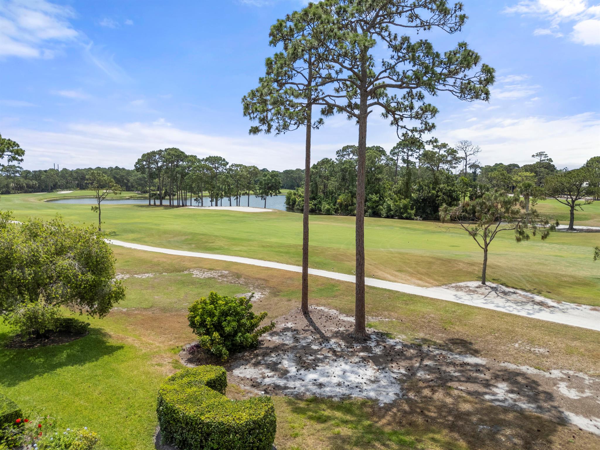 The Pines - Residential