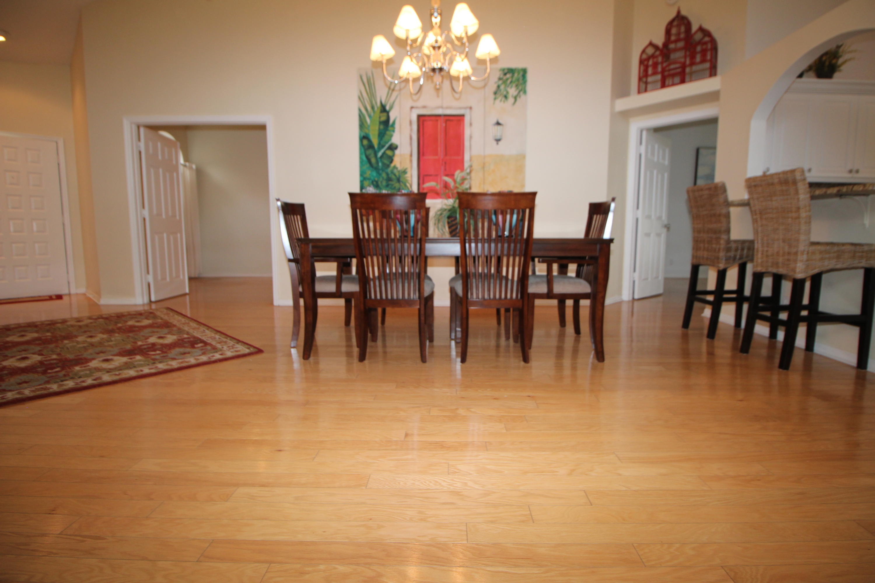 404 Sabal Palm Lane