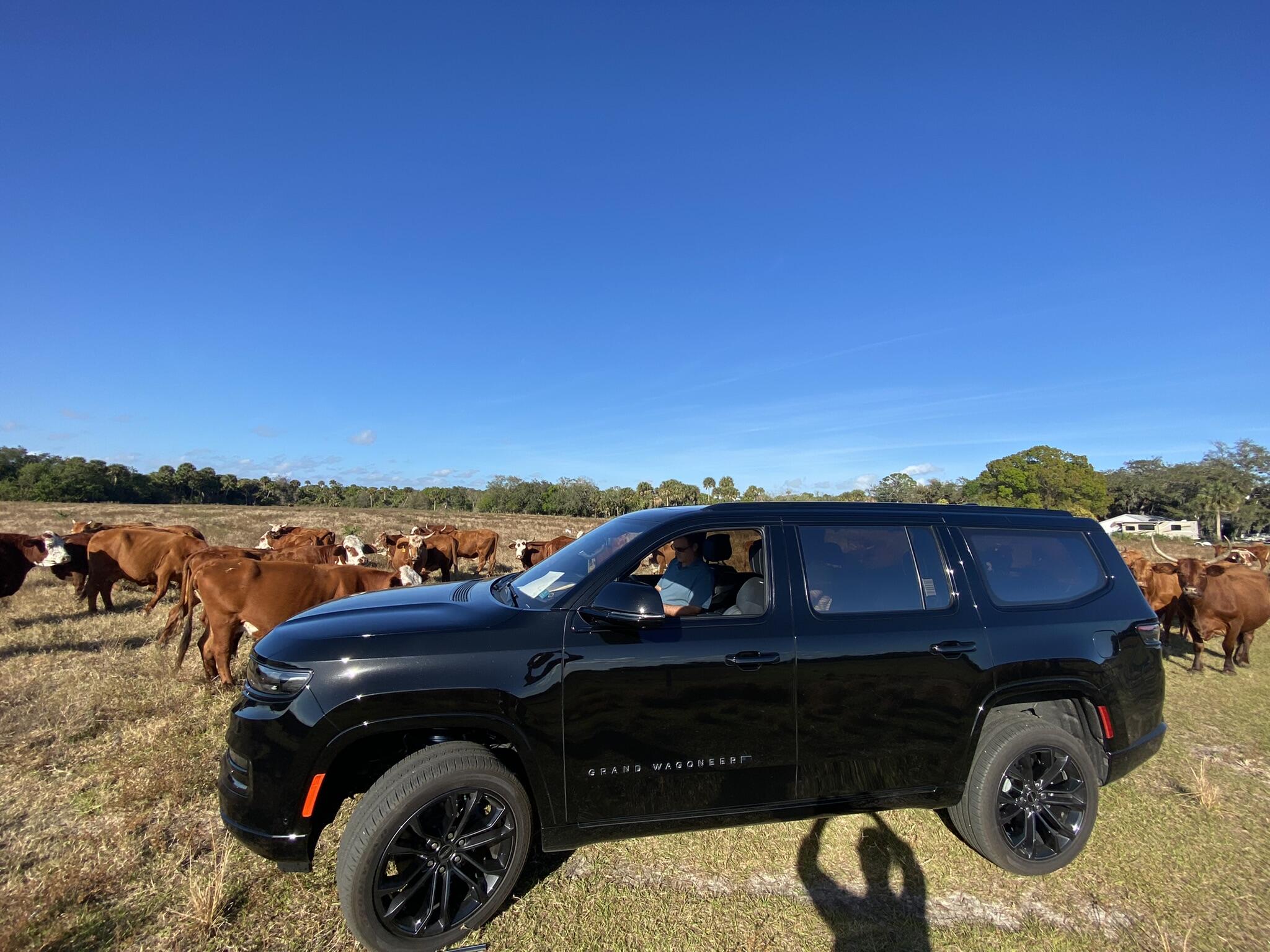 METES AND BOUNDS - Land