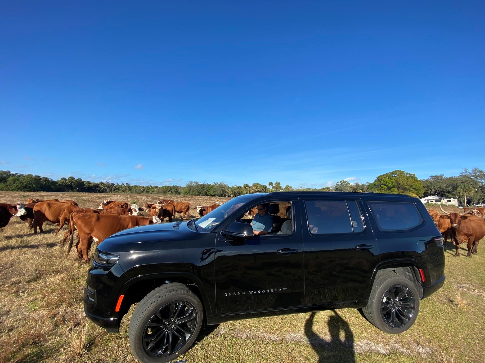 METES AND BOUNDS - Land