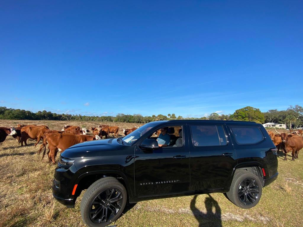 METES AND BOUNDS - Land