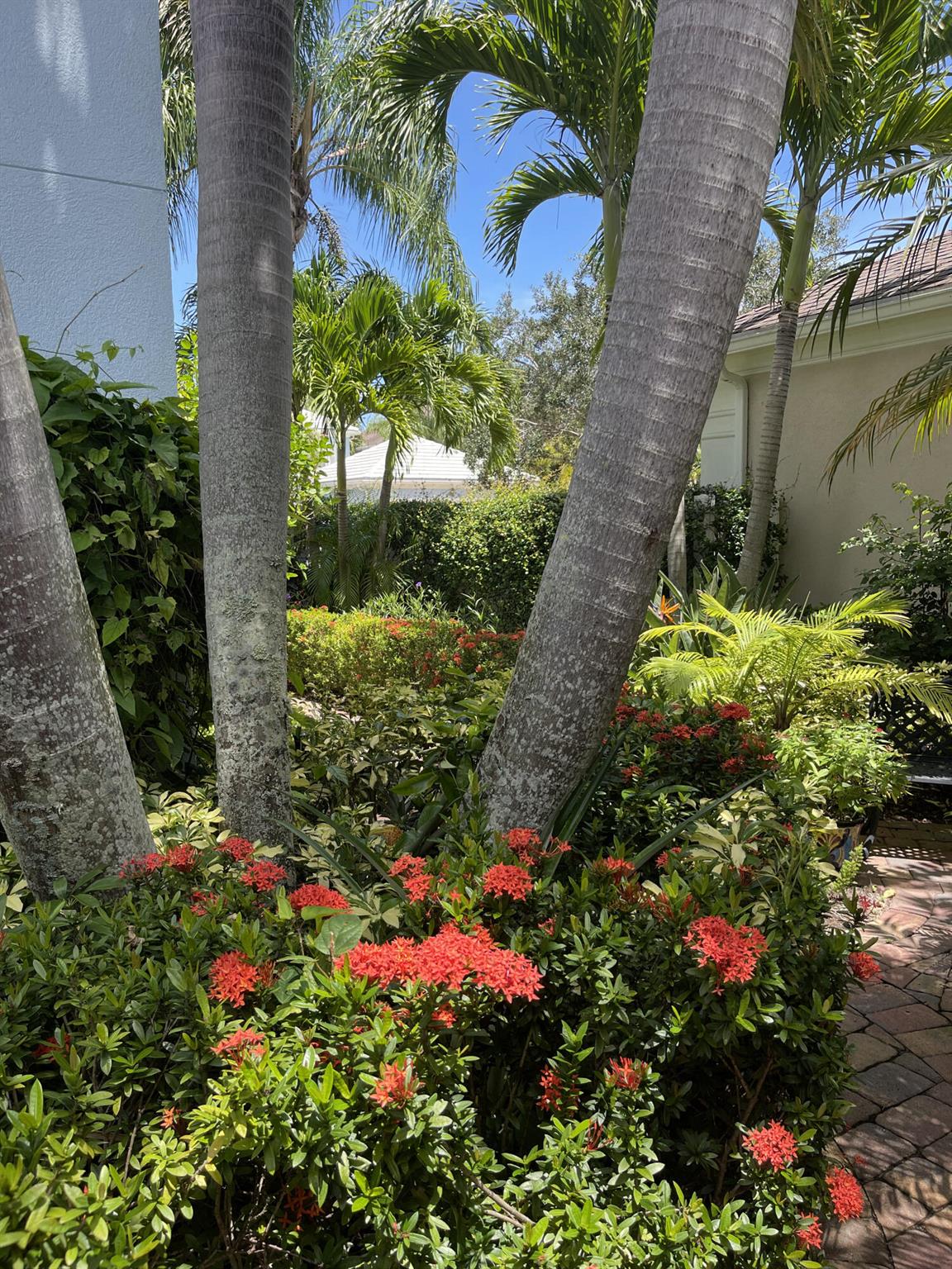 MARTINIQUE AT ABACOA 2 - Residential Lease