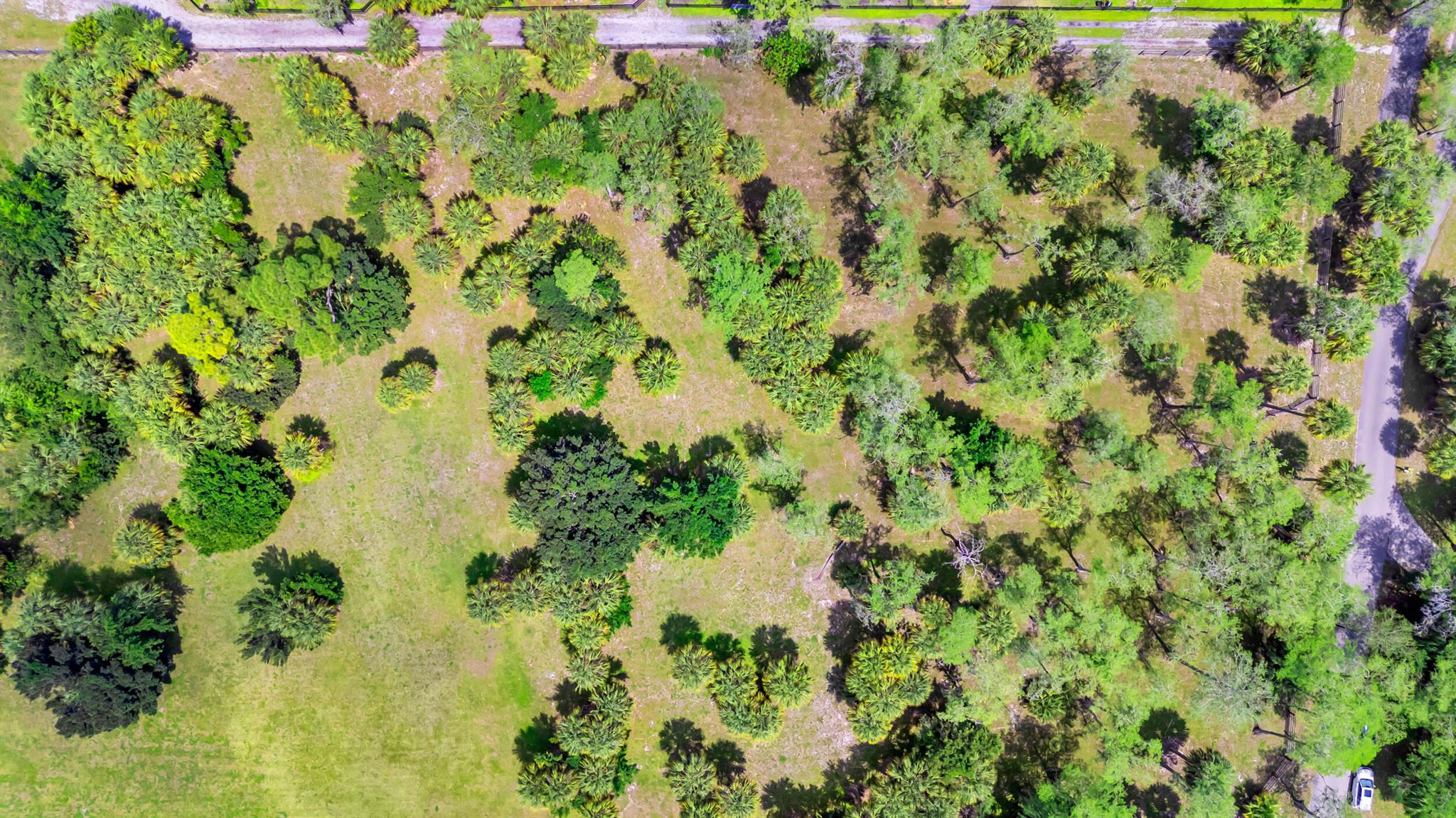 FOX TRAIL - Residential