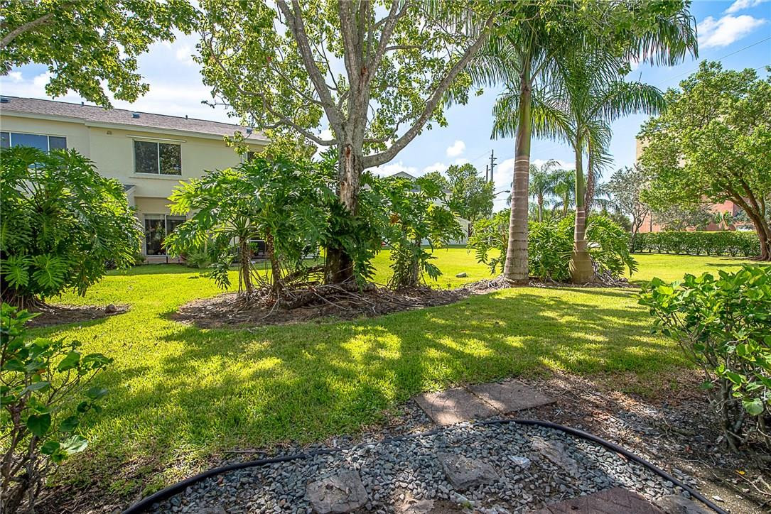 COCONUTS - Residential