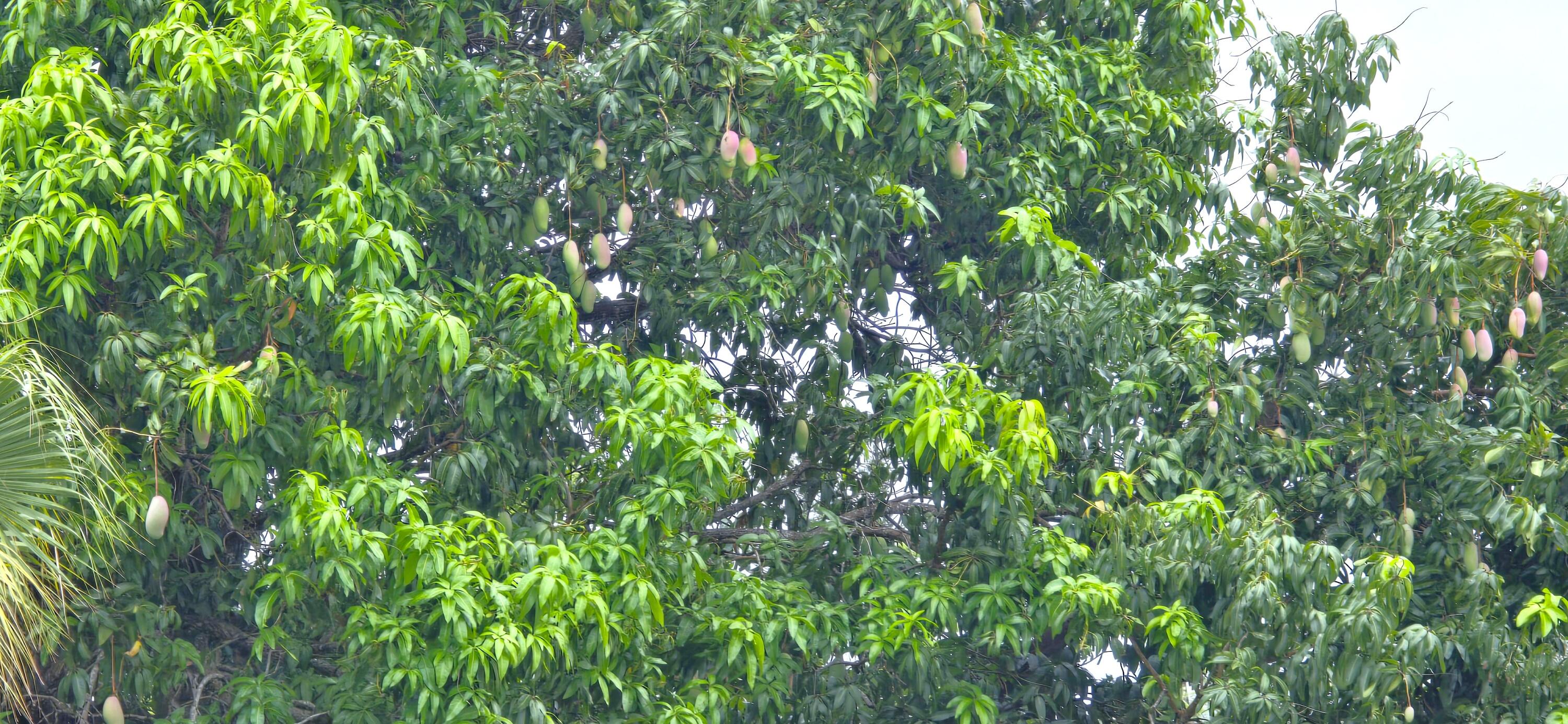 RIVER PARK-UNIT 4 - Residential