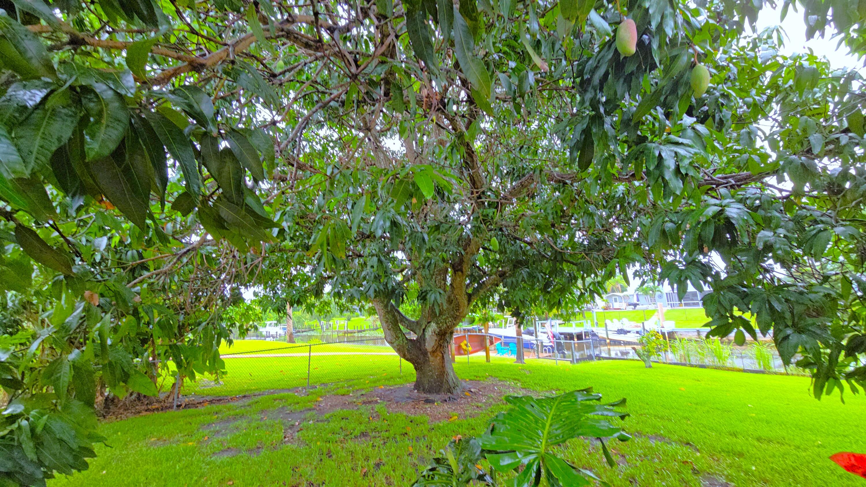 RIVER PARK-UNIT 4 - Residential