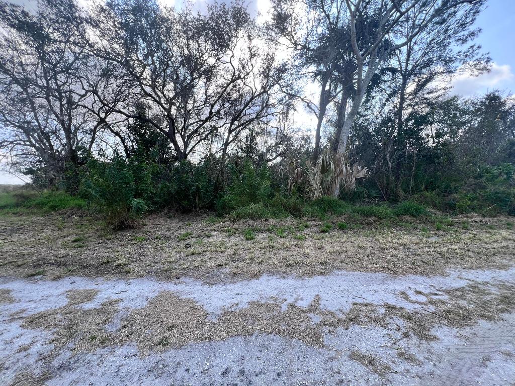SEBRING LAKES UNIT 2 C - Land
