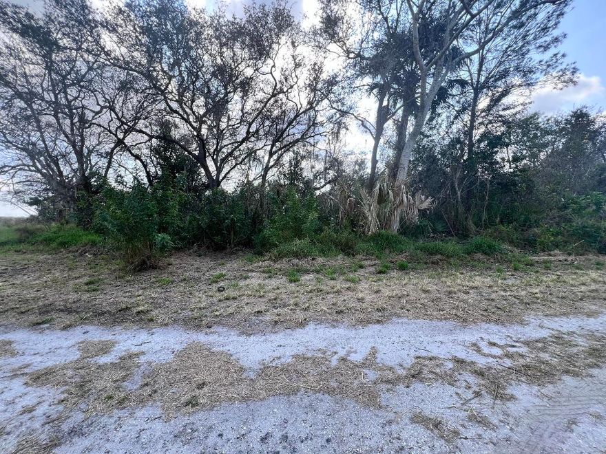 OWNER FINANCIAL AVAILABLE!! If you want to be close to everything, Sebring is the city in FL. This lot is near Orlando, Fort Myers, Okeechobee, and Port Charlotte. This is perfect for you, looking for a new town to start a new life and build your new home.
